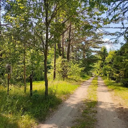 Letniskowy * Skarszewy