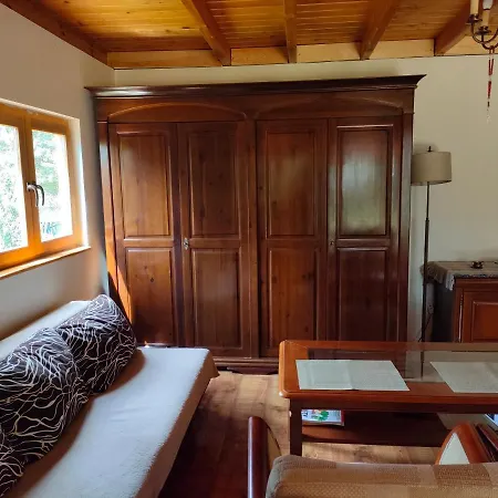 Letniskowy 山林小屋 *