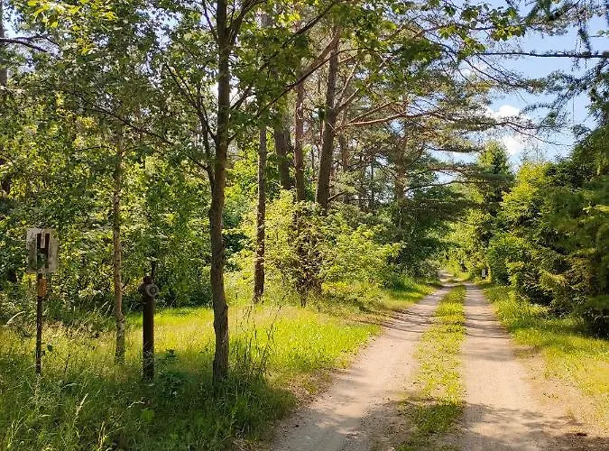 Letniskowy * Skarszewy